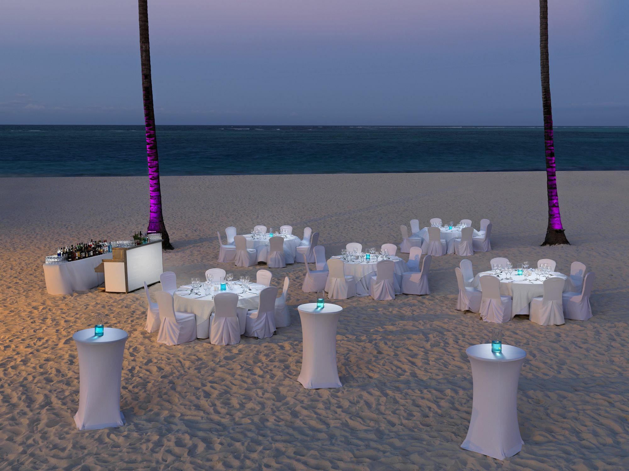 Royal Service At Paradisus Palma Real (Adults Only) Punta Cana Extérieur photo