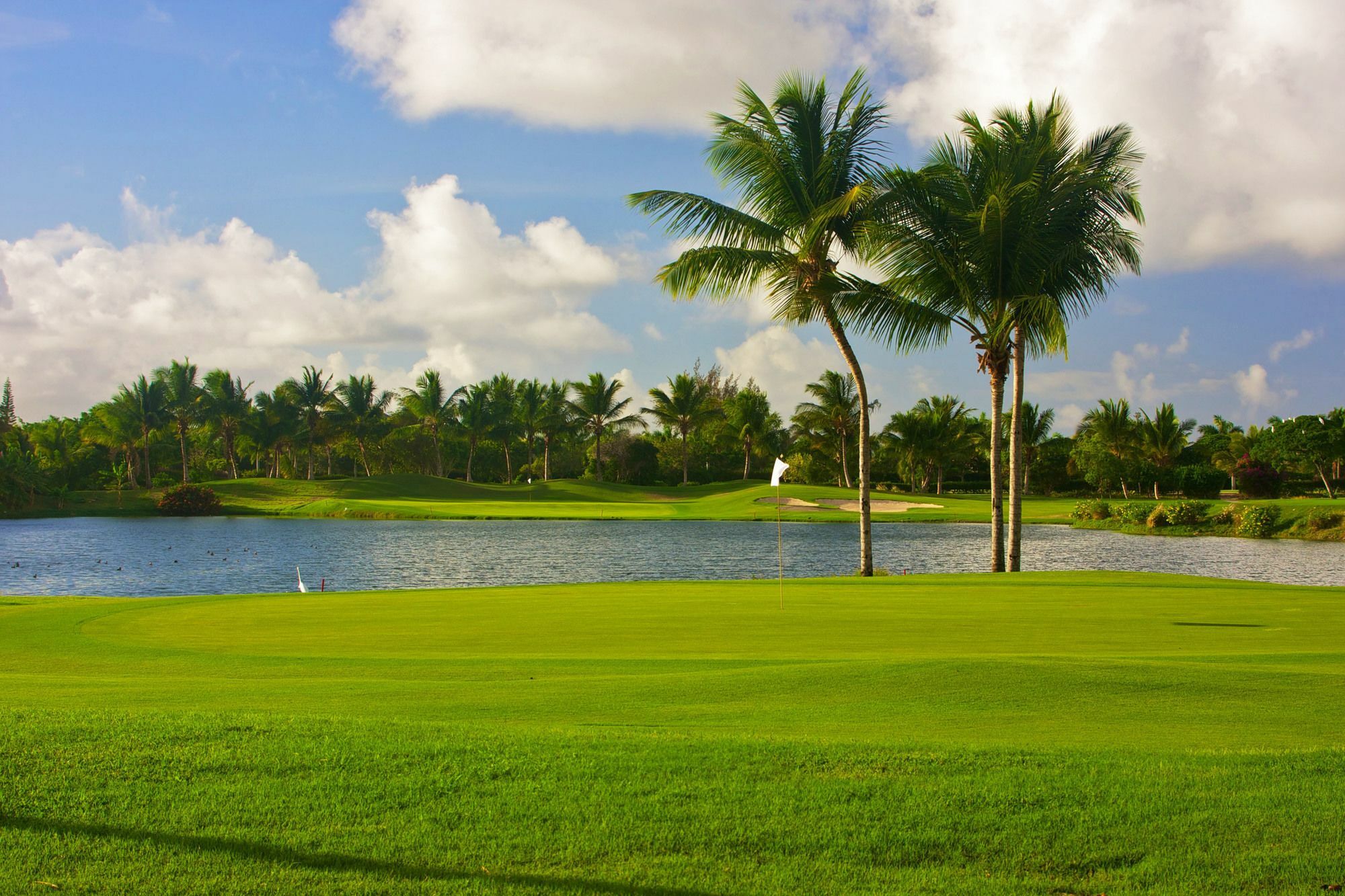 Royal Service At Paradisus Palma Real (Adults Only) Punta Cana Extérieur photo