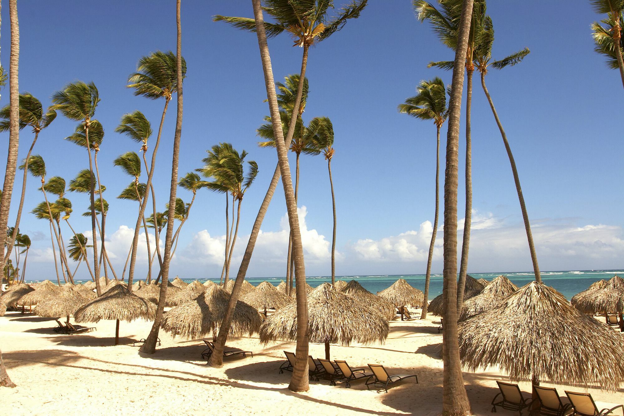 Royal Service At Paradisus Palma Real (Adults Only) Punta Cana Extérieur photo